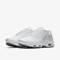 Чоловічі кросівки NIKE AIR MAX PLUS 604133-139