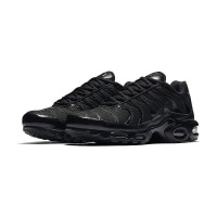 Чоловічі кросівки NIKE AIR MAX PLUS 604133-050