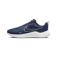 Мужские кроссовки NIKE DOWNSHIFTER 12 DD9293-400