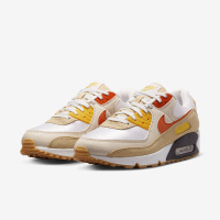 Чоловічі кросівки NIKE AIR MAX 90 SE FB4315-100