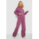Спортивный костюм женский на флисе, цвет сливовый, 177R056