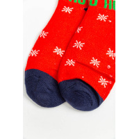 Шкарпетки-валянки теплі, вовняні, колір червоний, 151R2035