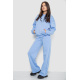 Спортивный костюм женский на флисе, цвет голубой, 241R2001-2