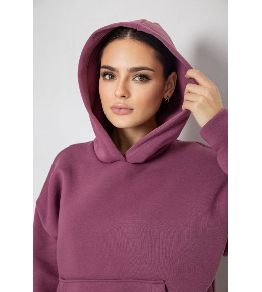 Спортивный костюм женский на флисе, цвет сливовый, 177R055
