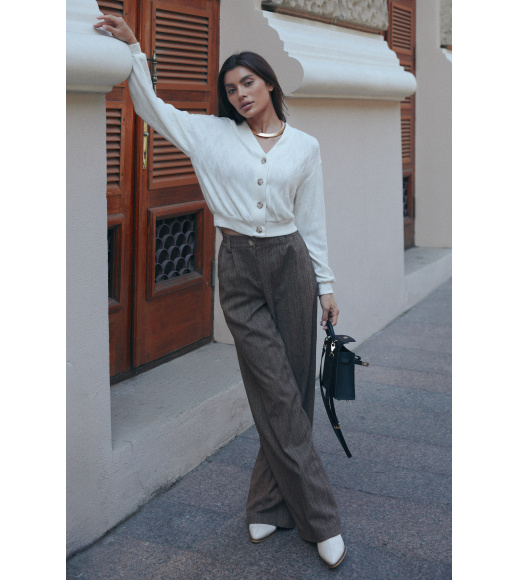 Брюки 2326.6467