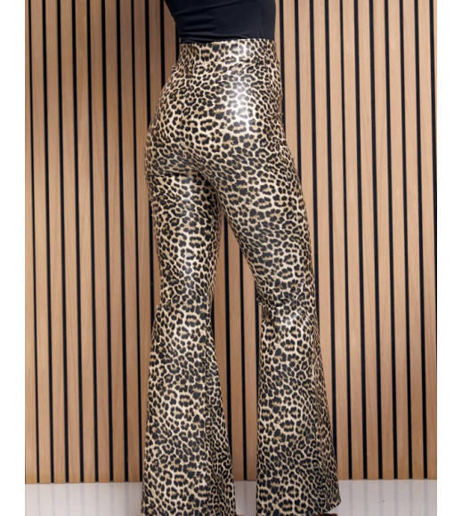 Леопардові штани клеш із еко-шкіри