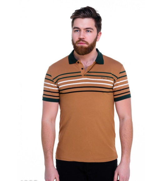 Коричнева чоловіча футболка-поло з контрастними кольоровими смугами
