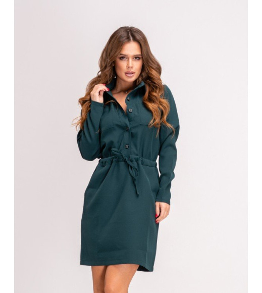 Зелене плаття-сорочка на кулісці
