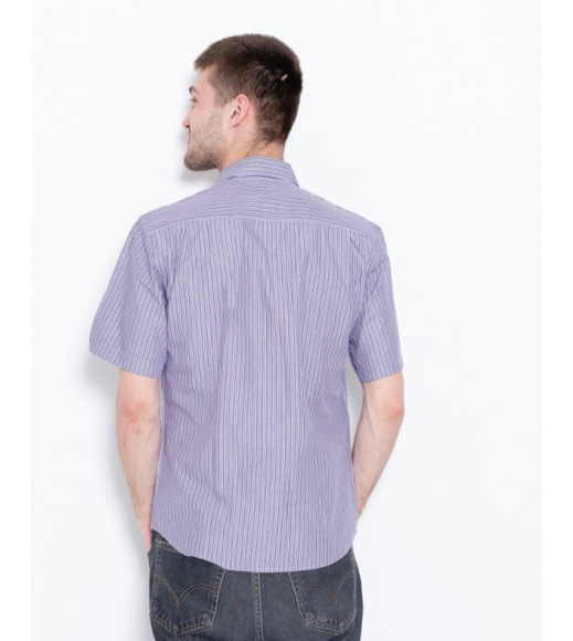 Бузкова смугаста сорочка з короткими рукавами