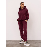 Темно-бордовый утепленный костюм с капюшоном