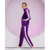 Фиолетовый велюровый костюм с лампасами