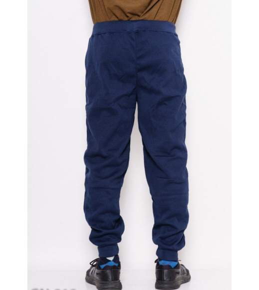 Сині трикотажні спортивні штани на флісі з манжетами і контрастними вставками